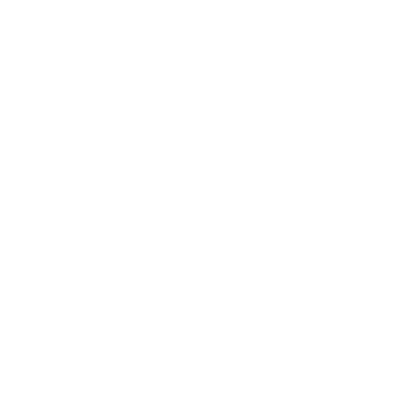 TESMUN XXII